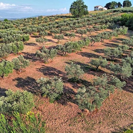 Agriturismo Incanto Della Natura Cannara Luaran gambar